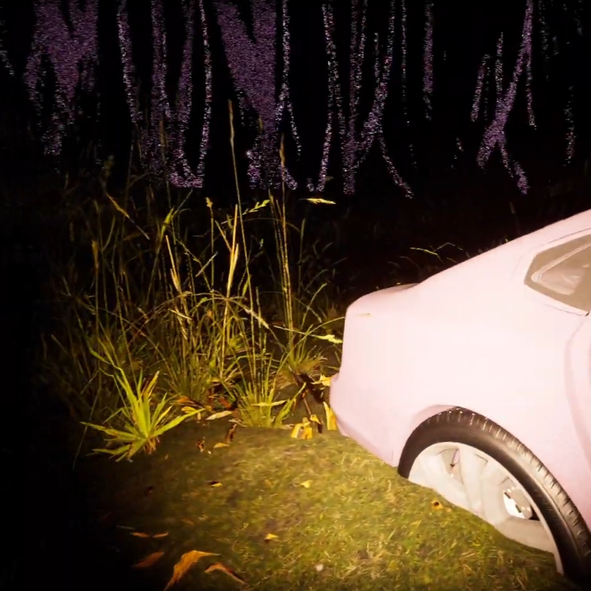 Still from 'Buick Riviera' by Slug Altar
